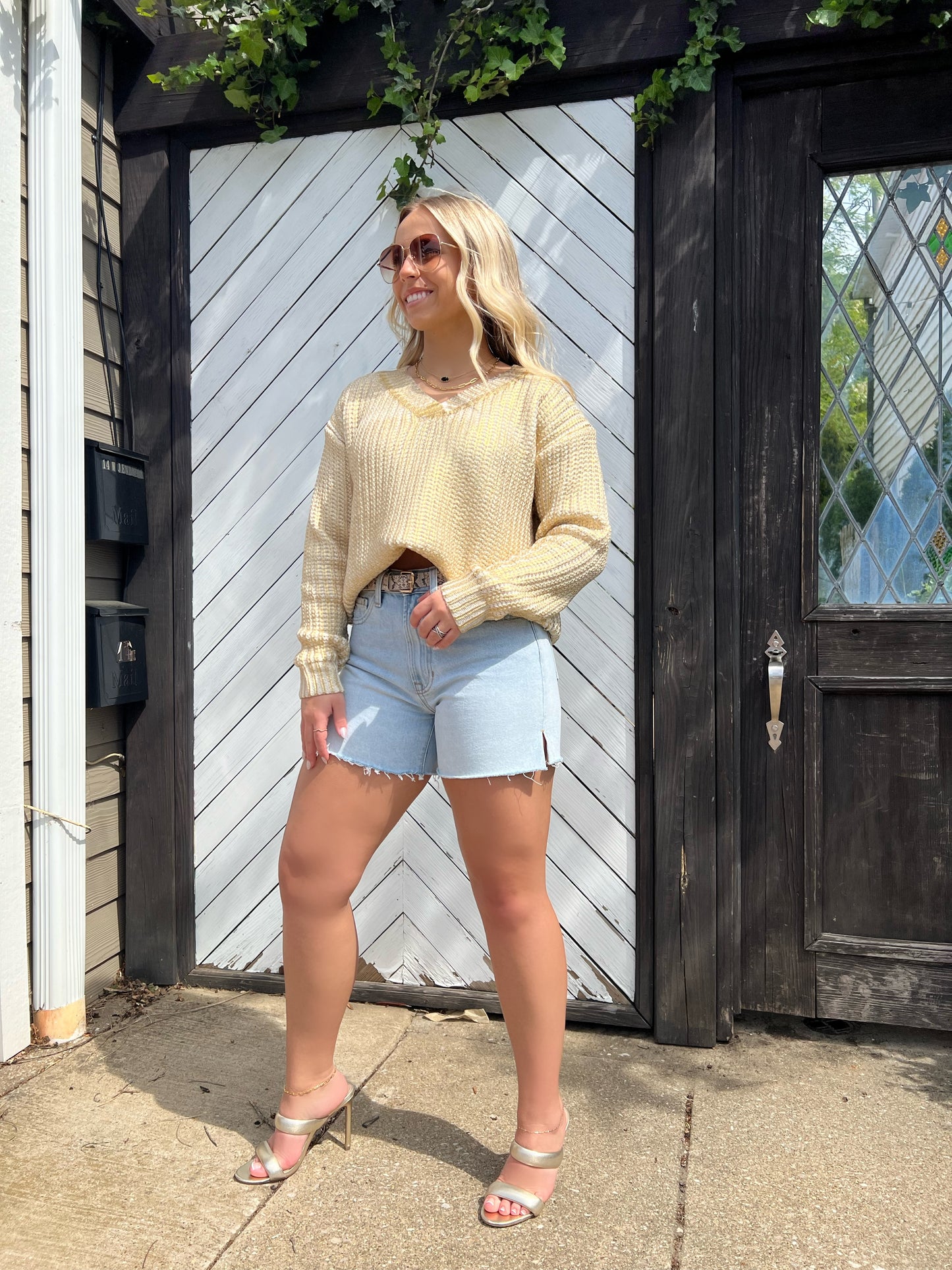 Lilan Denim Shorts